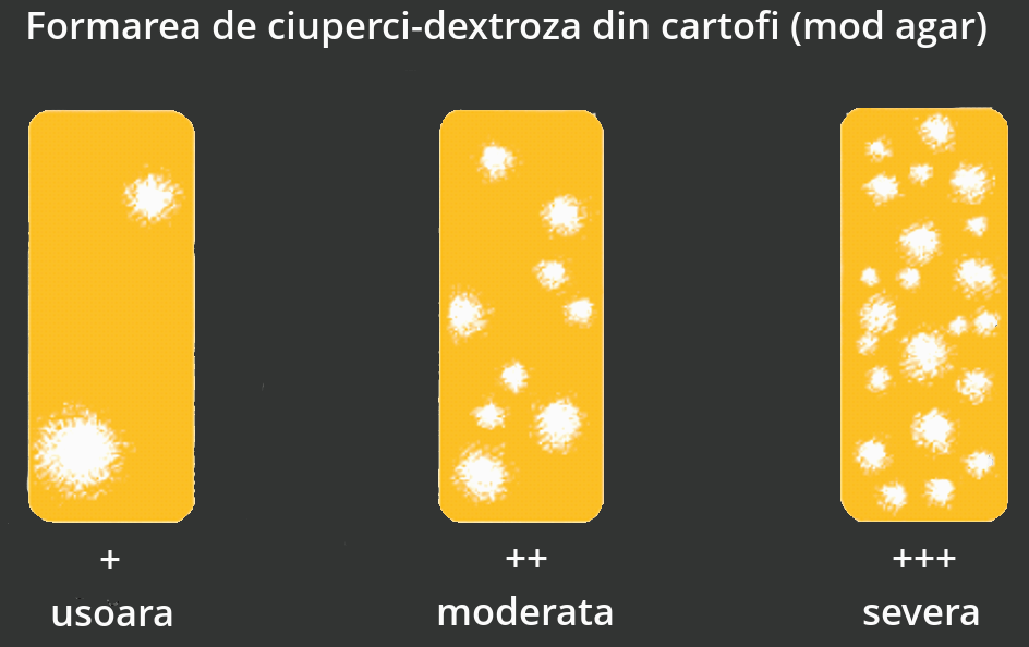 Ciuperci dextroza din cartofi